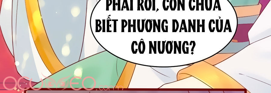 Thịnh Thế Lê Hoa Điện Chapter 21 - Trang 2