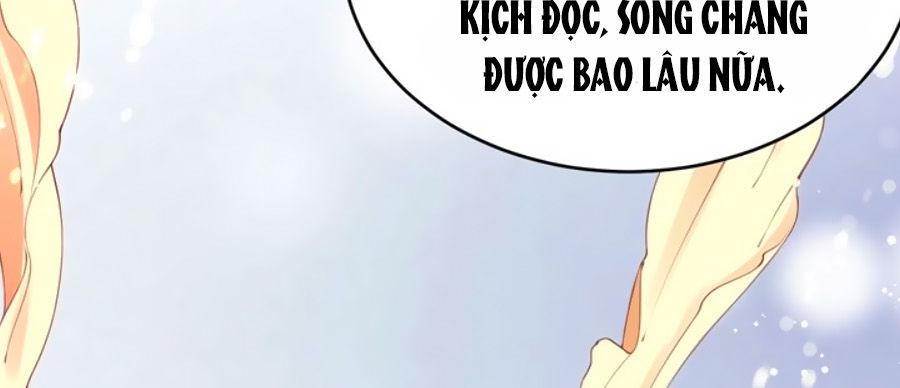 Thịnh Thế Lê Hoa Điện Chapter 8 - Trang 2