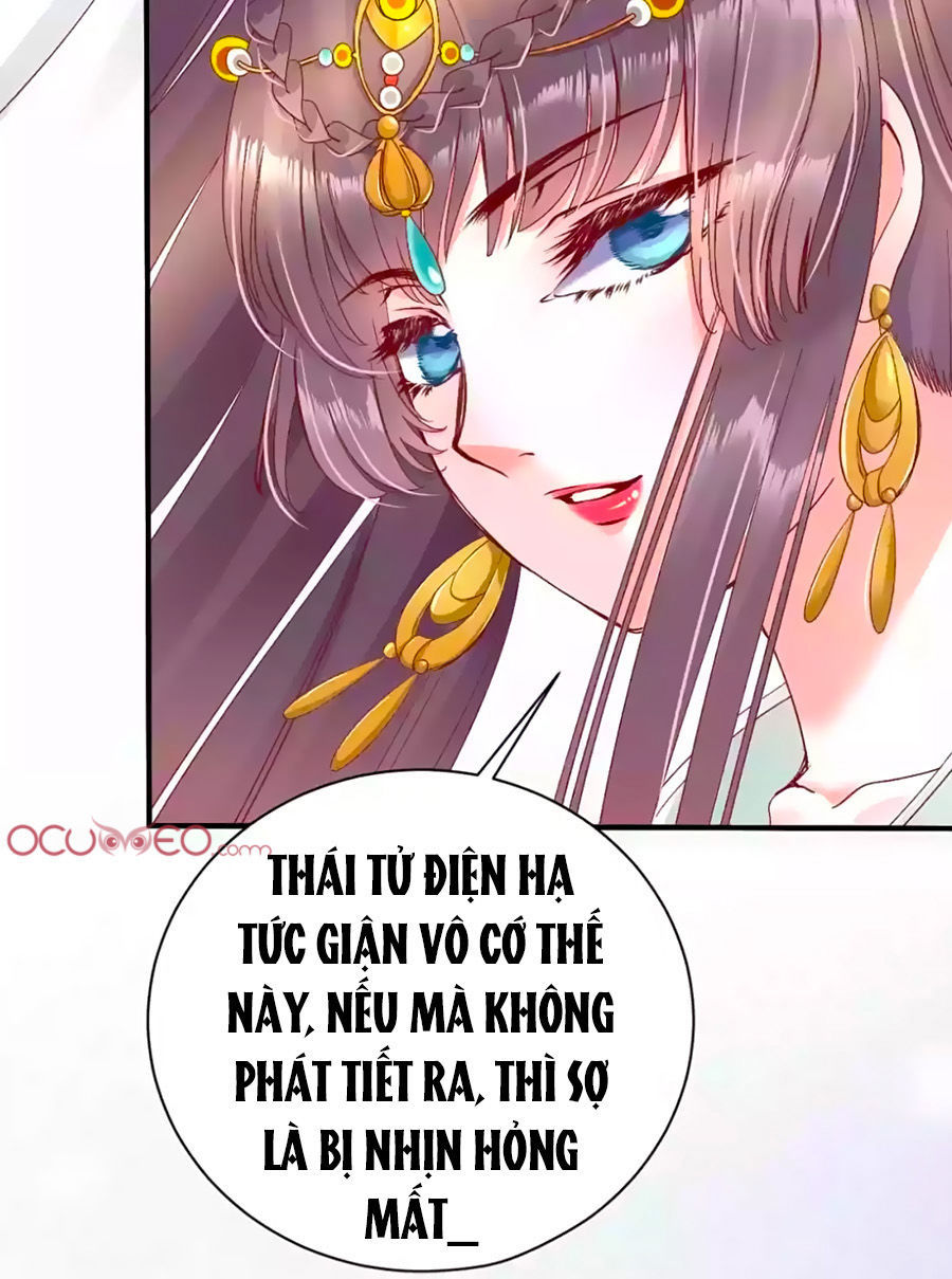 Thịnh Thế Lê Hoa Điện Chapter 7 - Trang 2