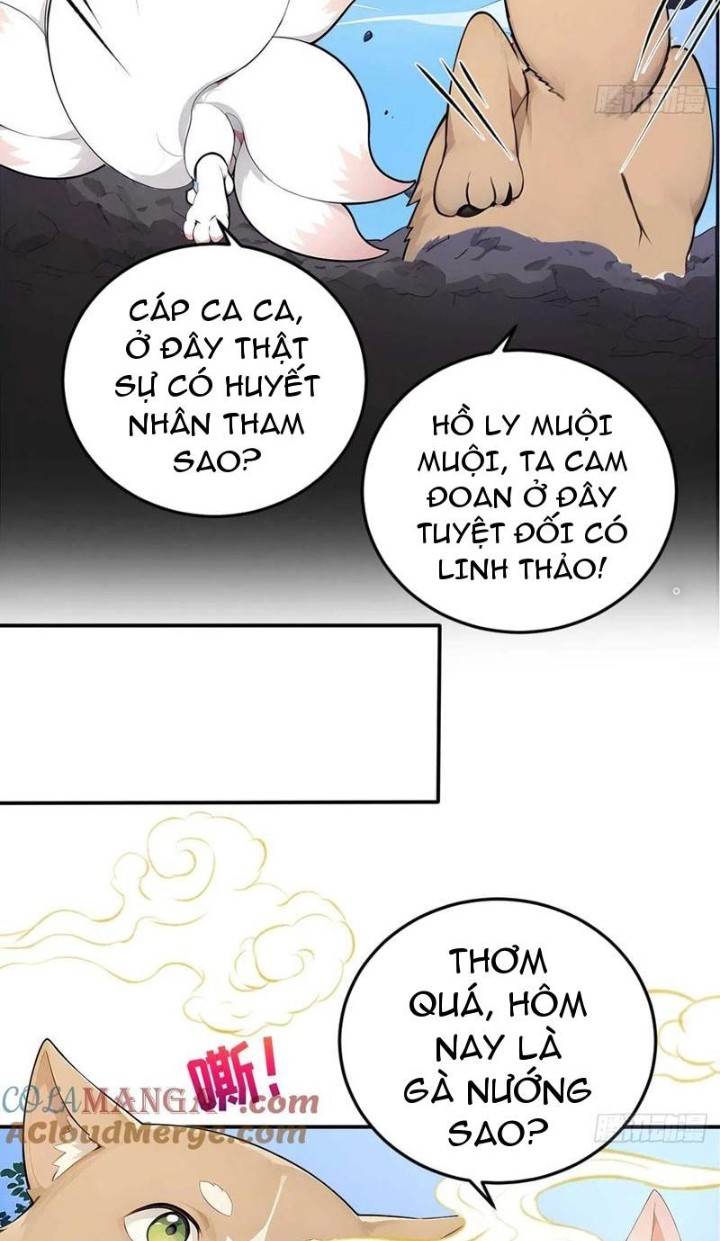 Ngươi Làm Bộ Tu Luyện Đi! Chapter 62 - Trang 2