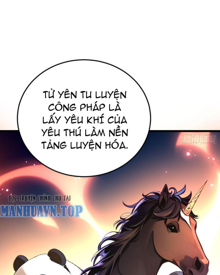 Ngươi Làm Bộ Tu Luyện Đi! Chapter 3 - Trang 2