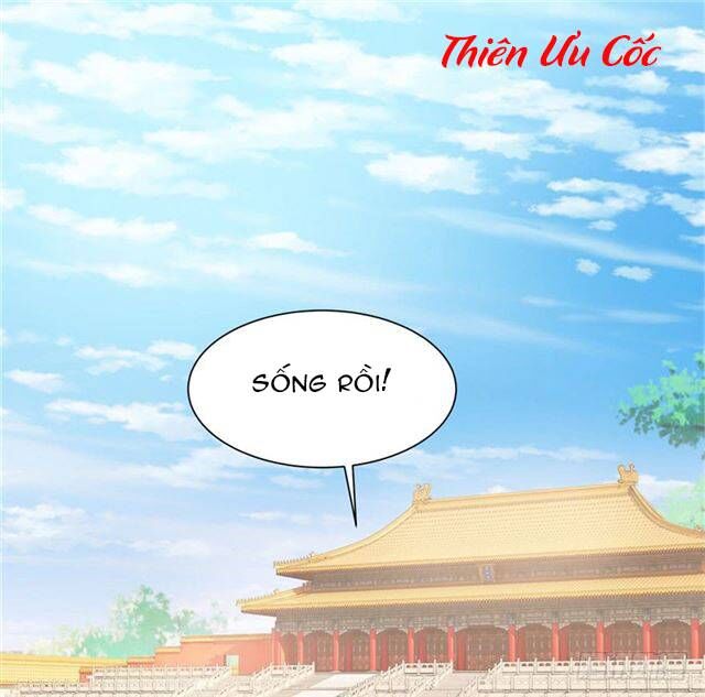 Đế Hoàng Chi Thần Y Khí Phi Chapter 4 - Trang 2