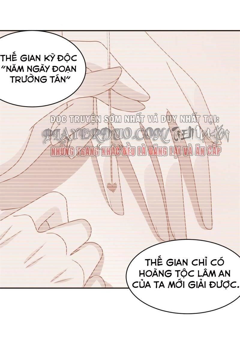 Bạo Quân Đừng Chạy, Công Chúa Muốn Vong Quốc Chapter 12 - Trang 2