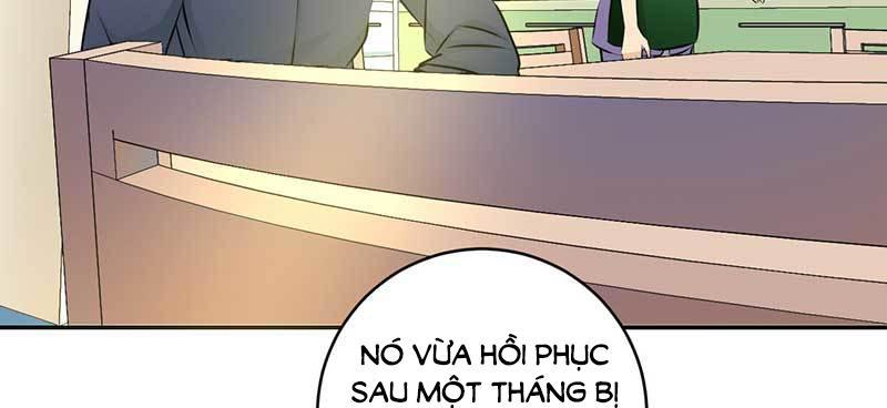 Thế Thân Phiền Toái, Tổng Tài Một Sắc Khí Chapter 4 - Trang 2