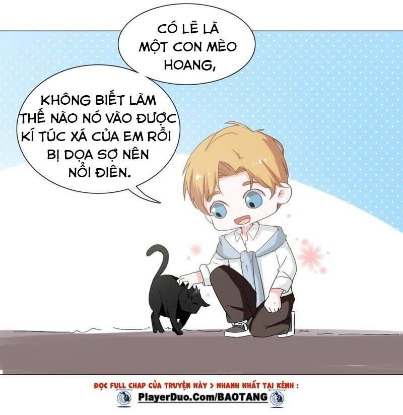 Thập Nhị Hắc Miêu Chapter 5 - Trang 2