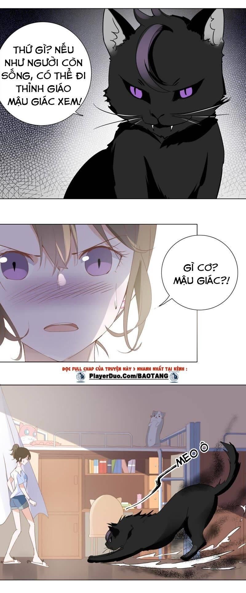 Thập Nhị Hắc Miêu Chapter 4 - Trang 2