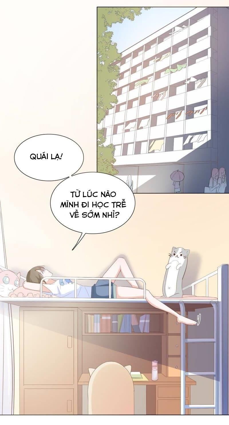 Thập Nhị Hắc Miêu Chapter 4 - Trang 2