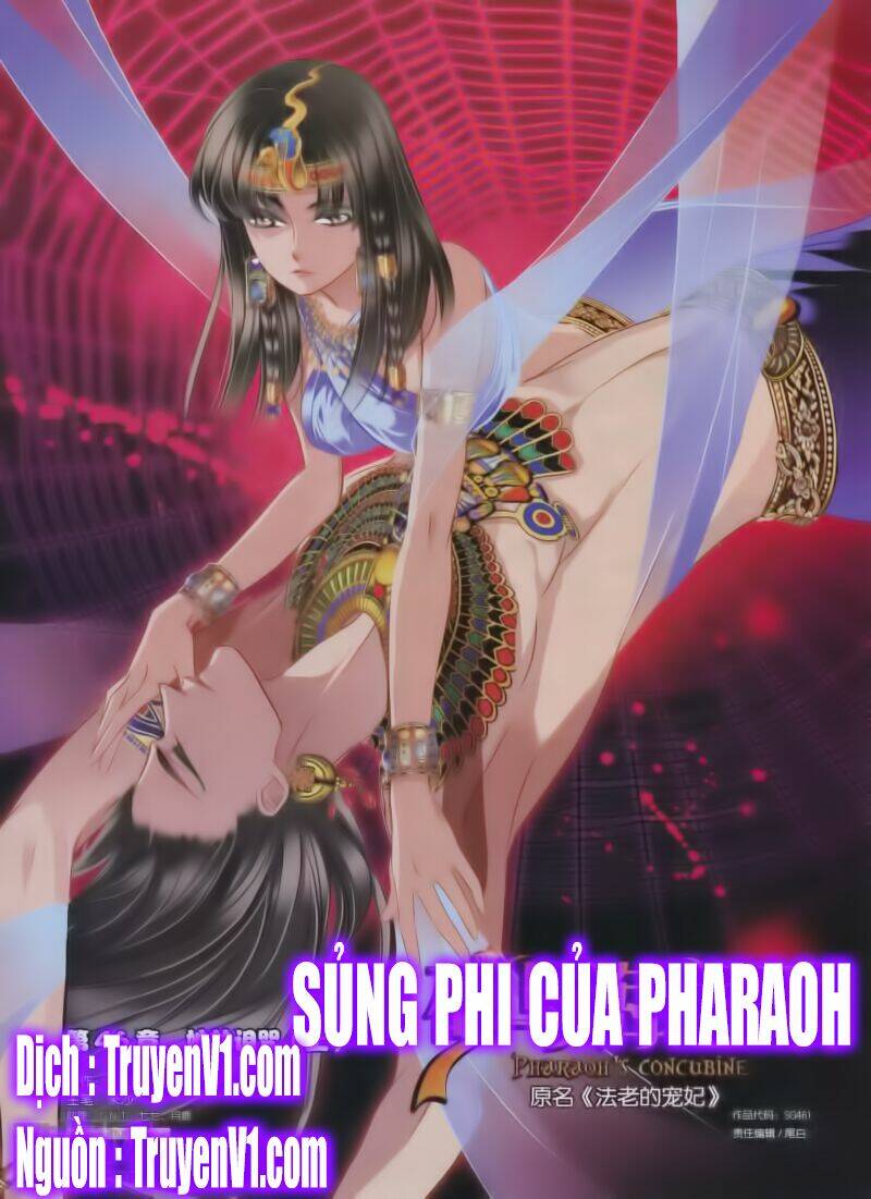 Sủng Phi Của Pharaoh Chapter 47 - Trang 2