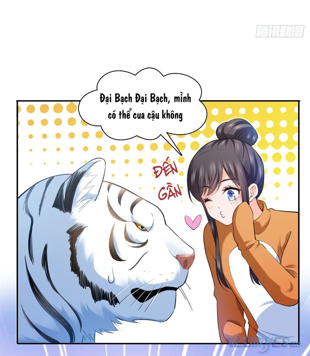 Hệt Như Hàn Quang Gặp Nắng Gắt Chapter 224 - Trang 2