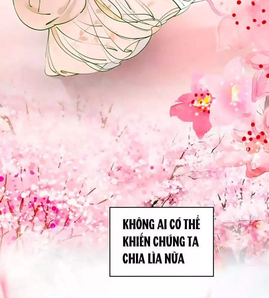 Triều Đình Có Yêu Khí Chapter 25 - Trang 2