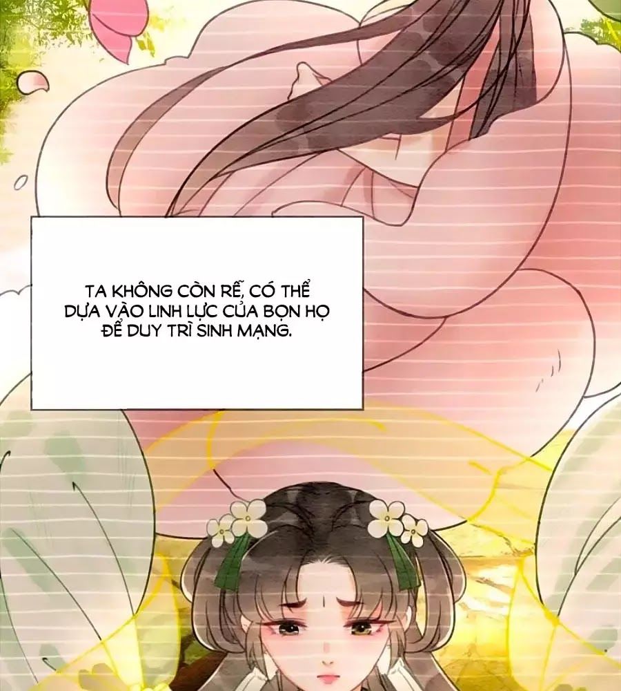 Triều Đình Có Yêu Khí Chapter 19 - Trang 2