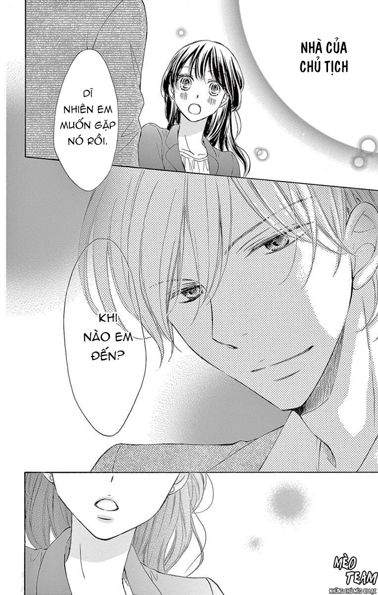 Toge Ni Kuchizuke Chapter 8 - Trang 2