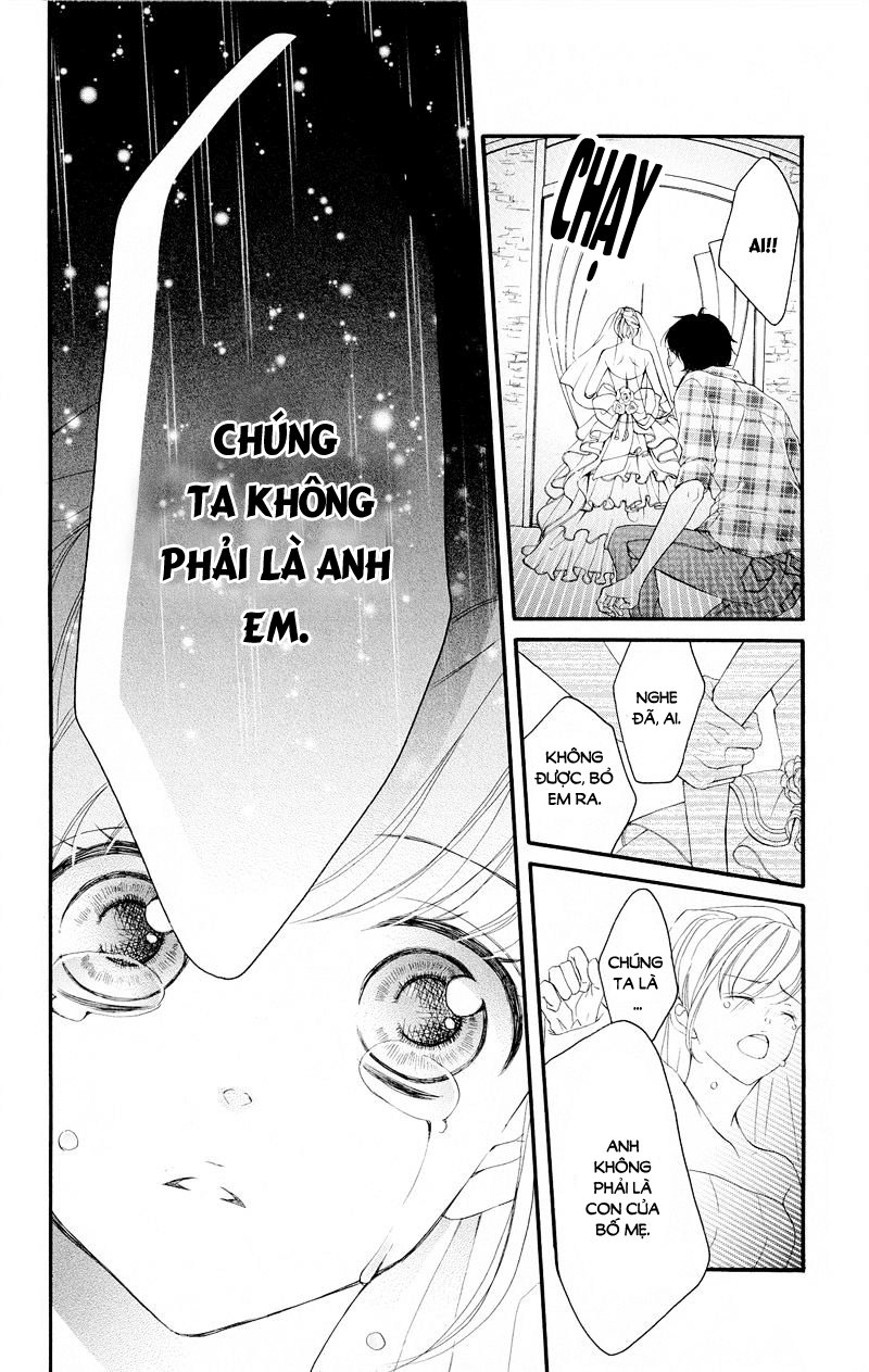 True Love Chapter 37 - Trang 2