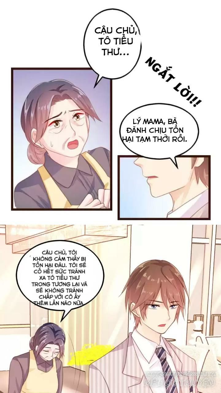 Bản Hợp Đồng Của Tổng Tài Lạnh Lùng Chapter 5 - Trang 2