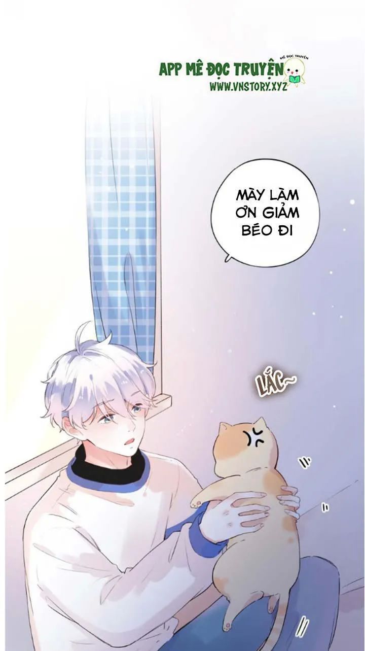 Đom Đóm Trên Dòng Sông Cô Quạnh Chapter 41 - Trang 2