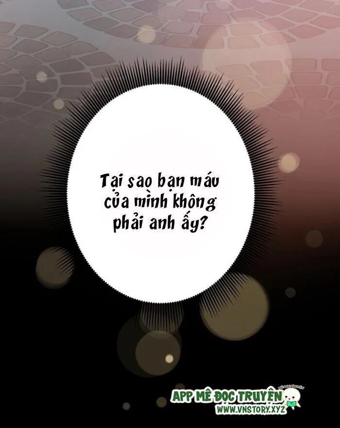 Tình Yêu Huyết Ma Chapter 13 - Trang 2