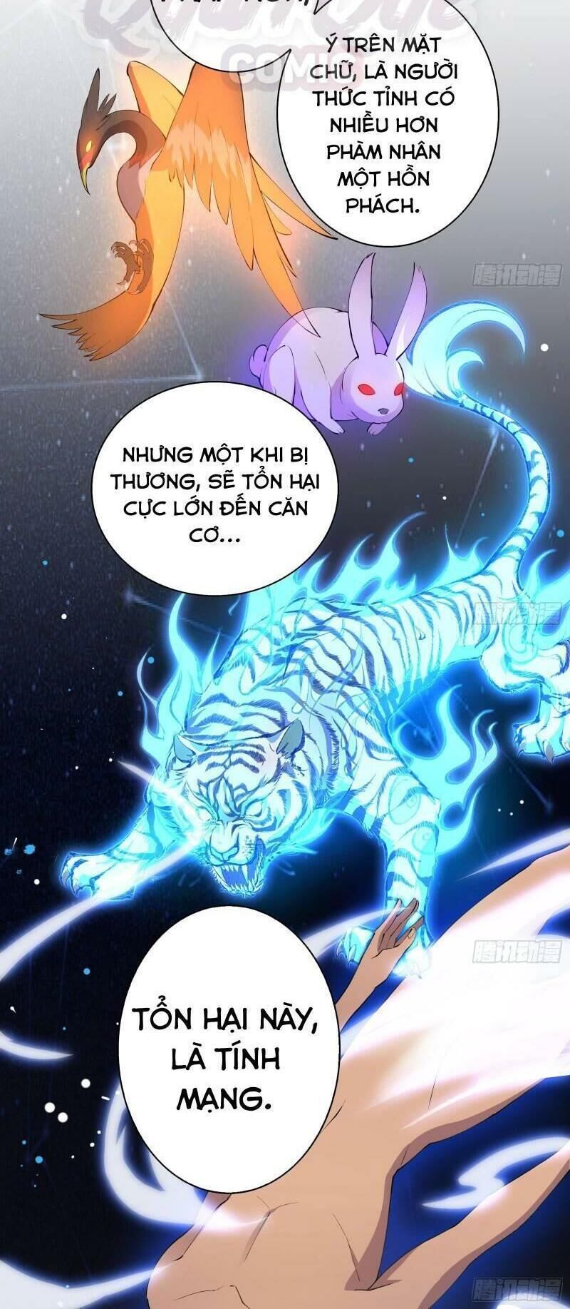 Thiên Mệnh Long Thần Chapter 14 - Trang 2