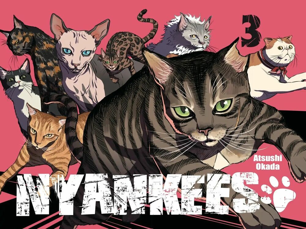 Nyankees Chapter 12 - Trang 2