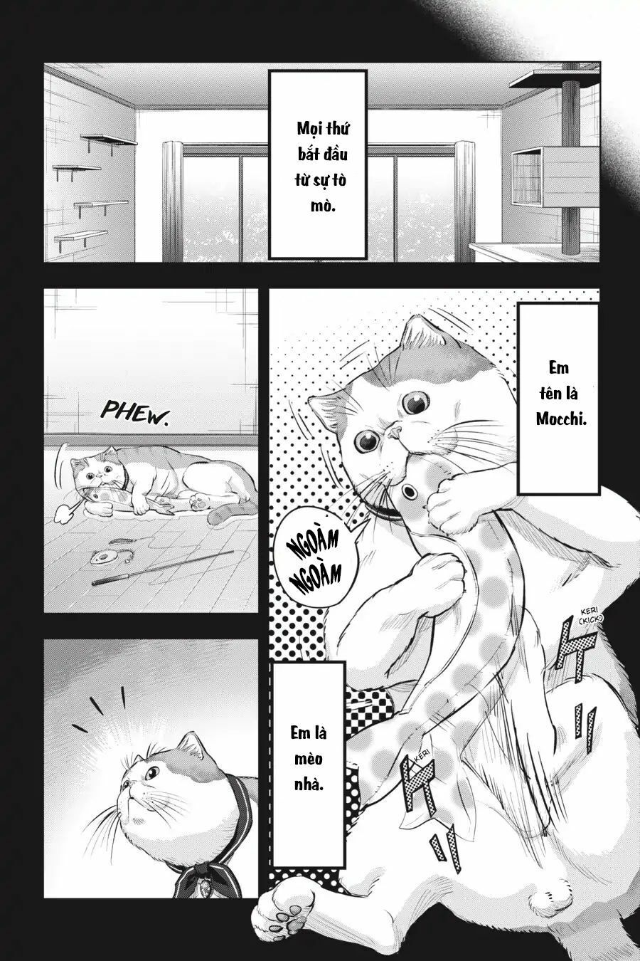 Nyankees Chapter 10 - Trang 2