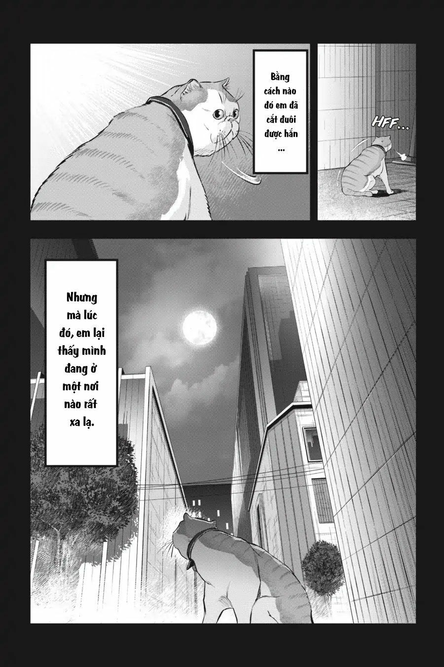 Nyankees Chapter 10 - Trang 2