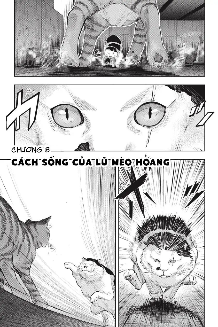 Nyankees Chapter 8 - Trang 2