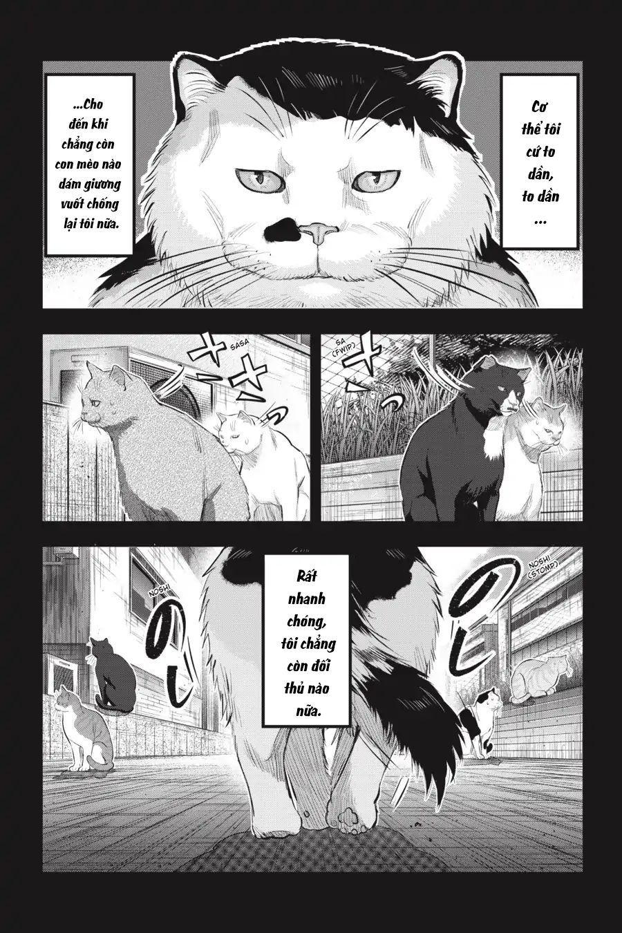 Nyankees Chapter 7 - Trang 2