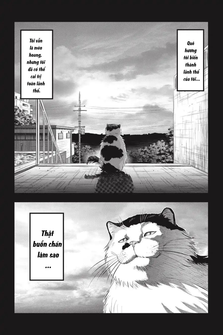 Nyankees Chapter 7 - Trang 2