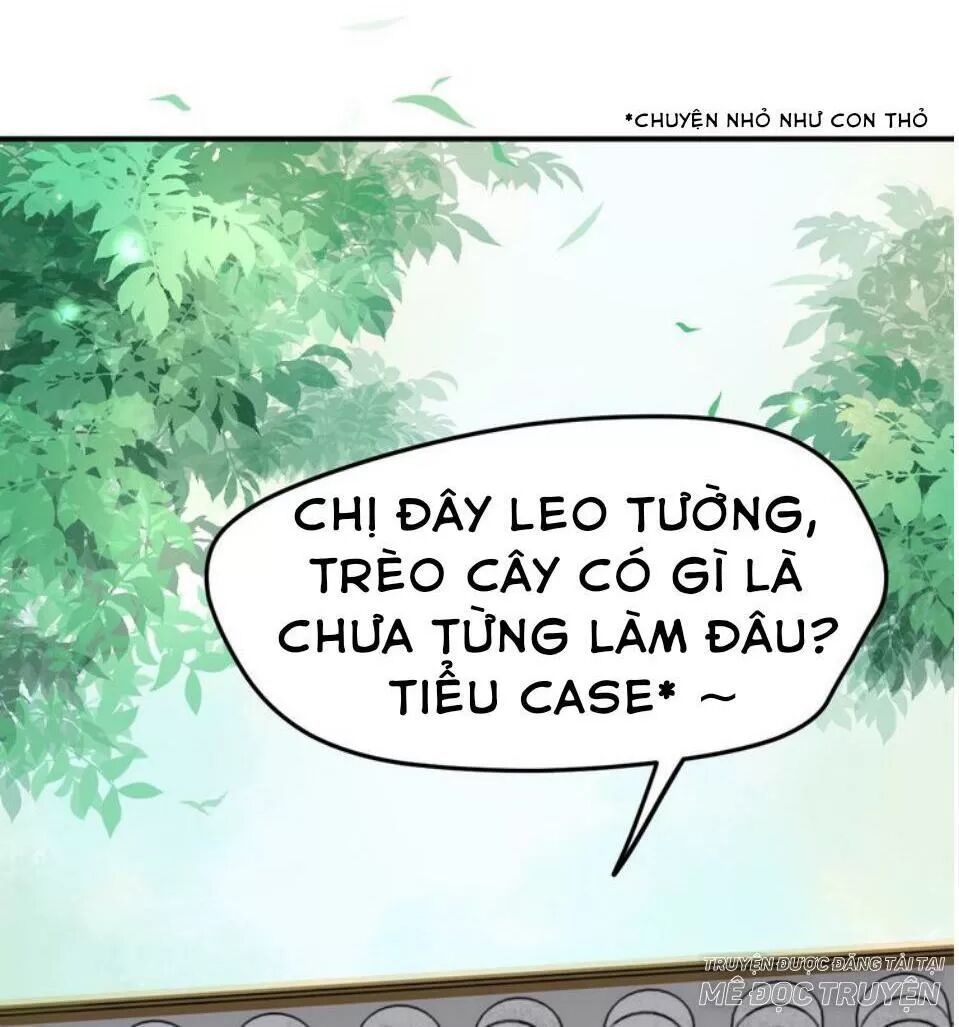 Luôn Có Điêu Dân To Gan Muốn Hại Trẫm Chapter 15 - Trang 2