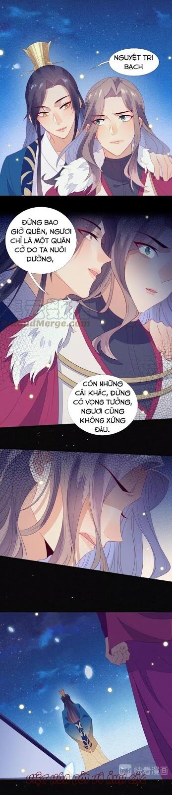 Thừa Tướng, Trẫm Biết Sai Rồi! Chapter 22 - Trang 2