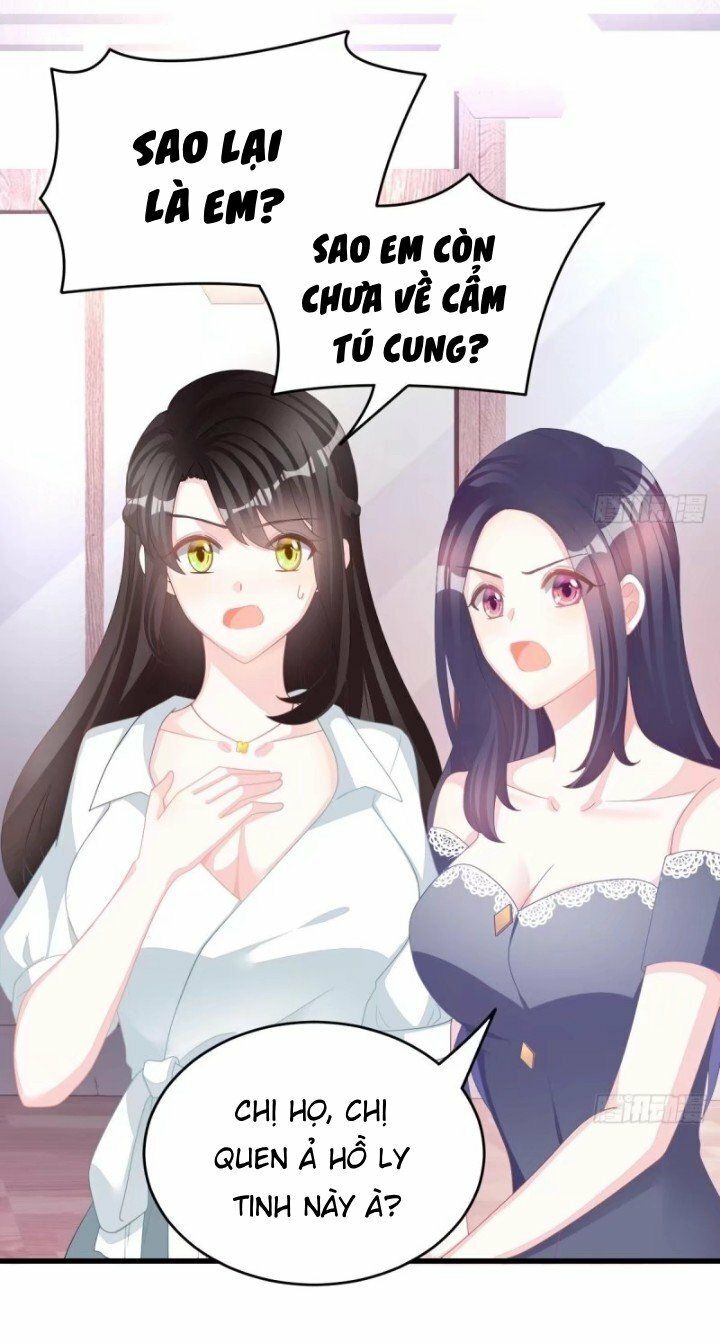 Cô Vợ Đáng Yêu Của Tổng Giám Đốc Mặt Lạnh Chapter 4 - Trang 2