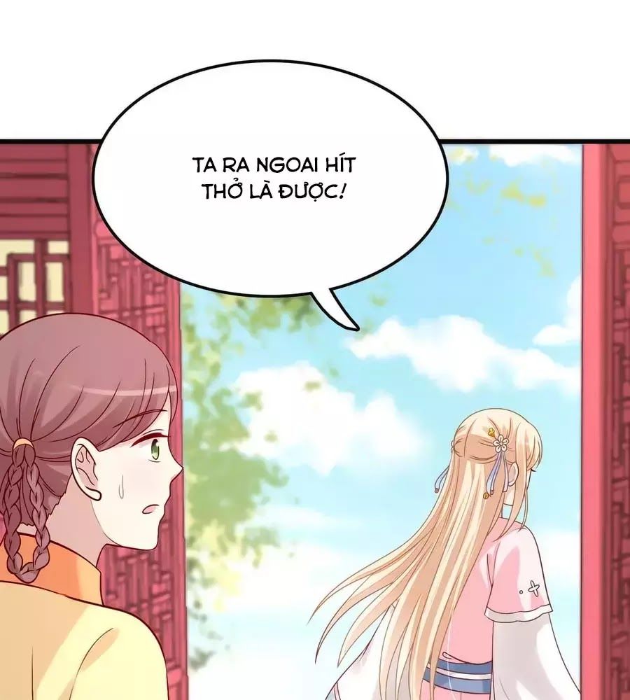 Kiêu Ngạo Vương Gia Chủng Điền Phi Chapter 164 - Trang 2