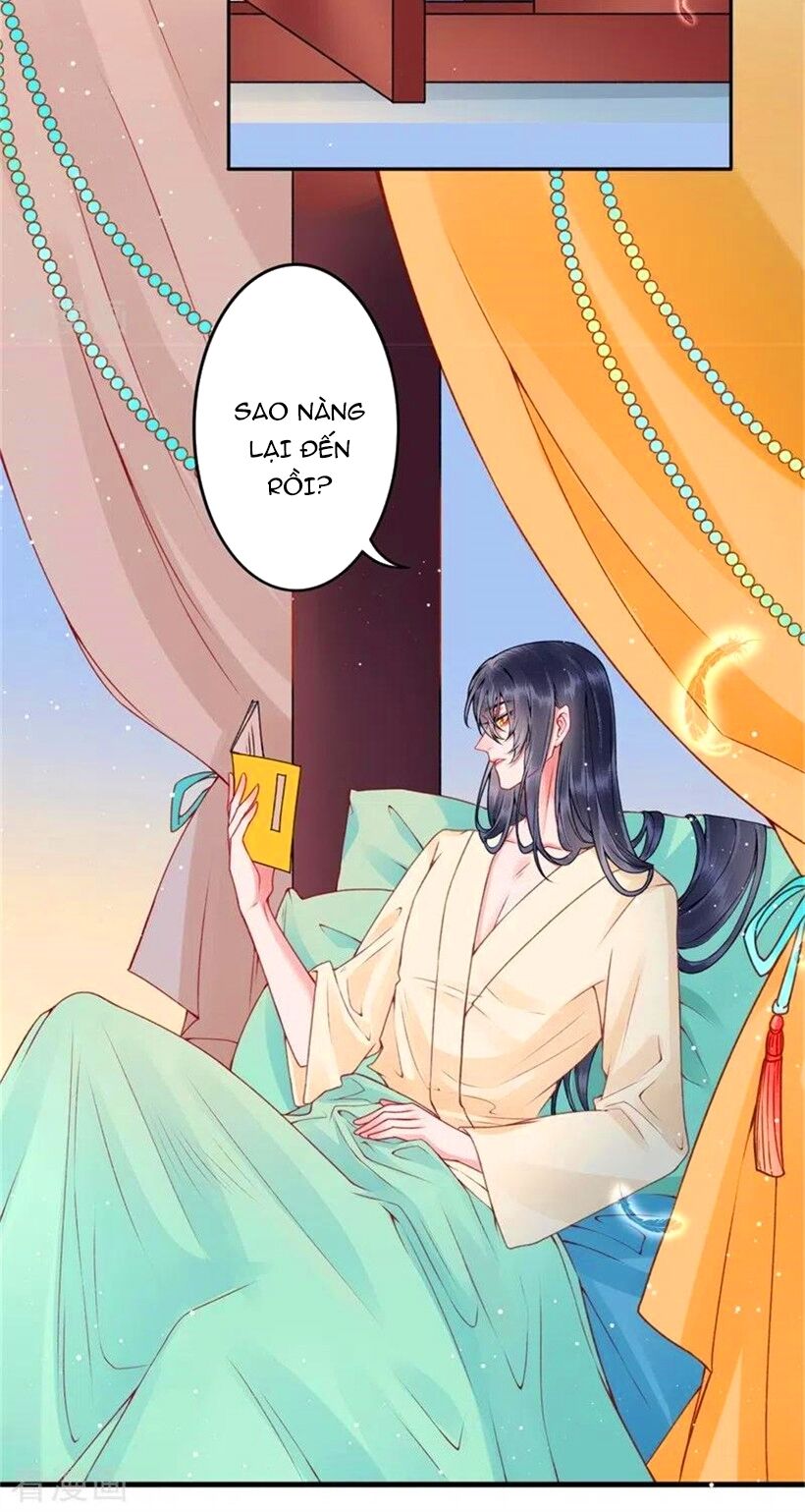 Hoàng Phi 9000 Tuổi Chapter 100 - Trang 2