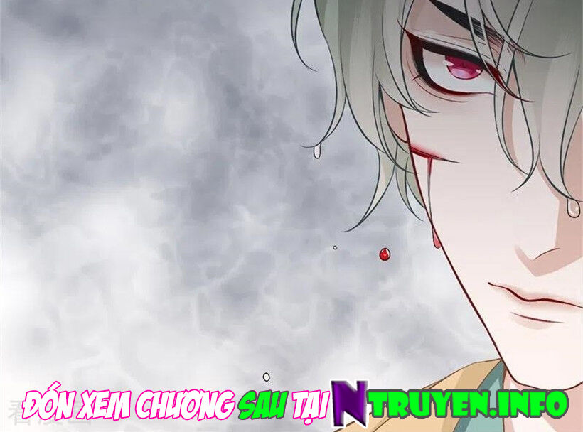 Hoàng Phi 9000 Tuổi Chapter 94 - Trang 2