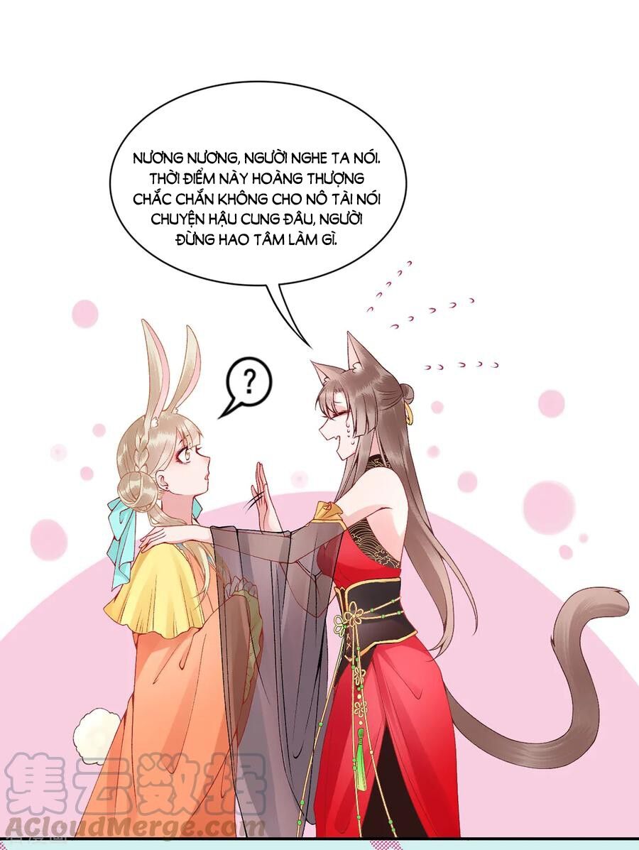 Hoàng Phi 9000 Tuổi Chapter 73 - Trang 2