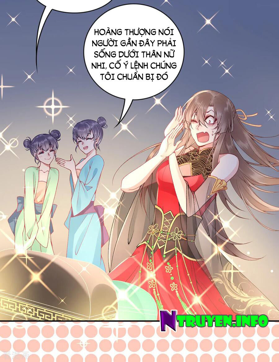 Hoàng Phi 9000 Tuổi Chapter 72 - Trang 2