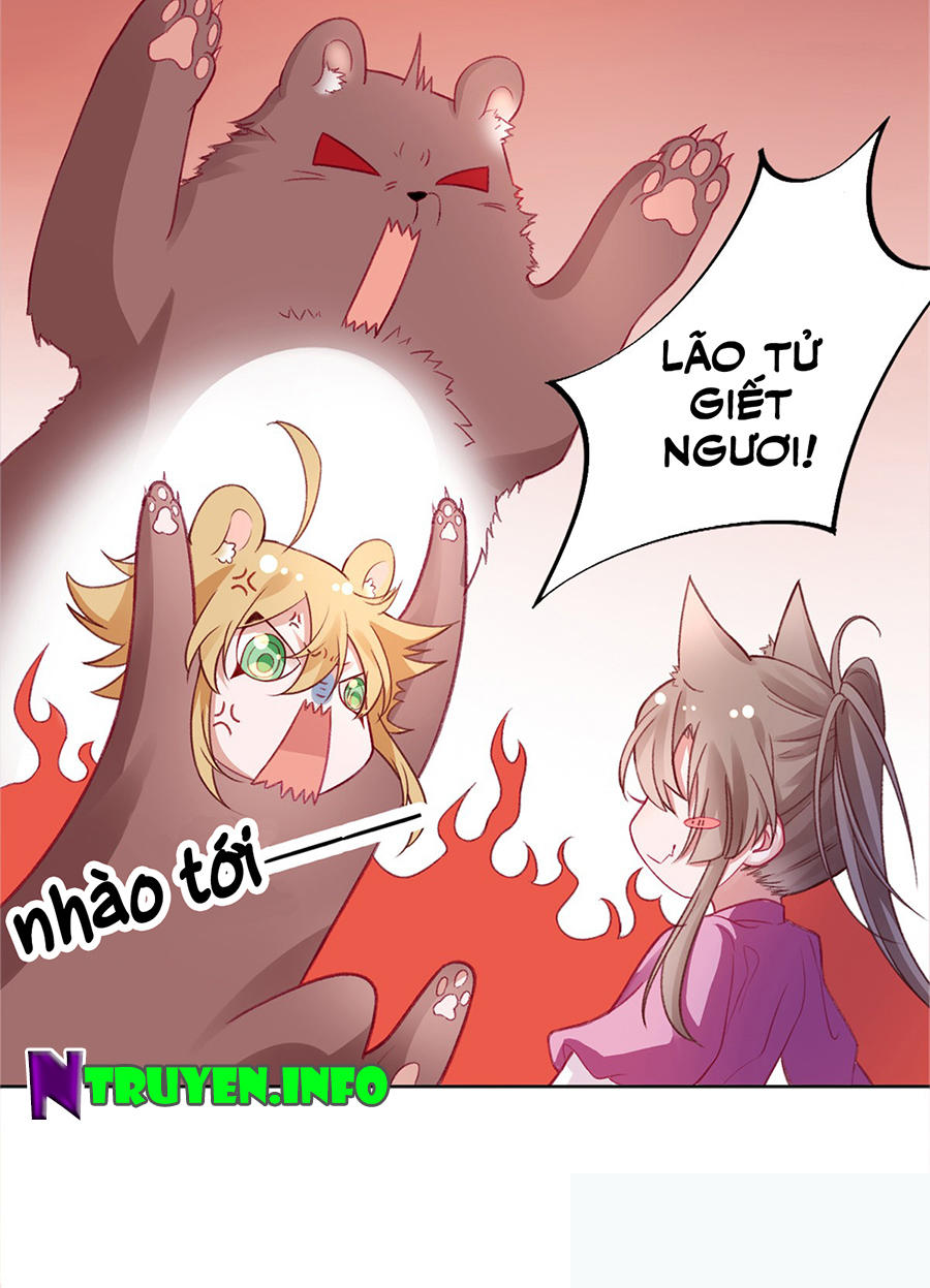 Hoàng Phi 9000 Tuổi Chapter 17 - Trang 2