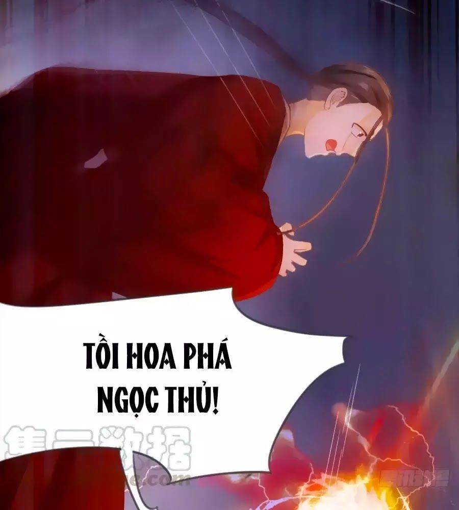 Thần Y Khí Nữ: Ngự Thú Cuồng Phi Của Quỷ Đế Chapter 58 - Trang 2