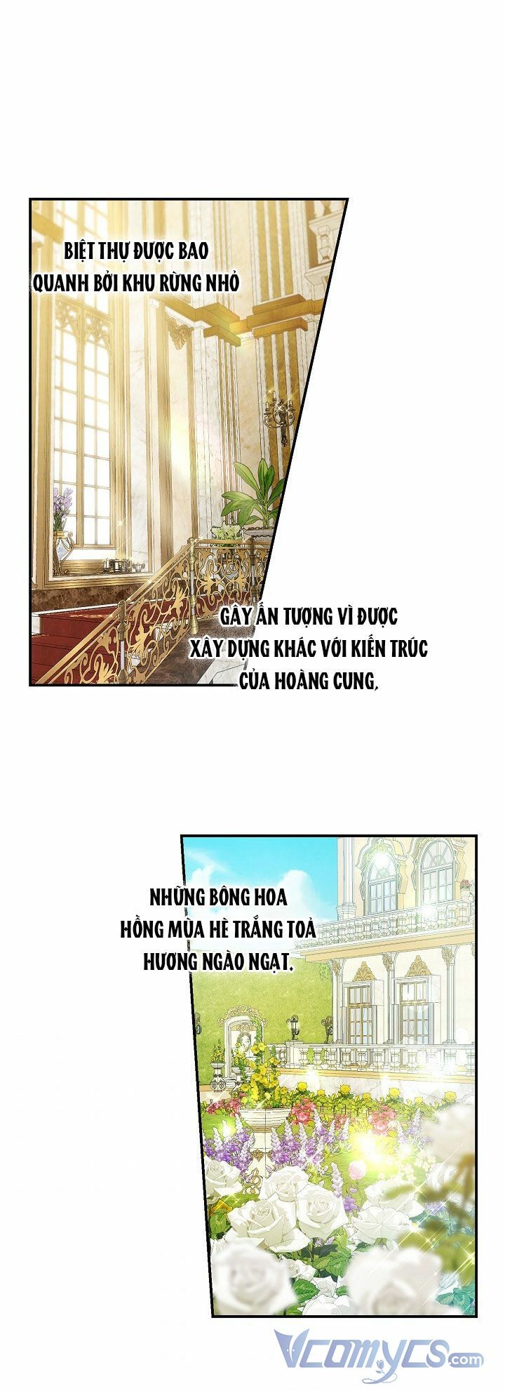 Lần Nữa Toả Sáng Chapter 36 - Trang 2