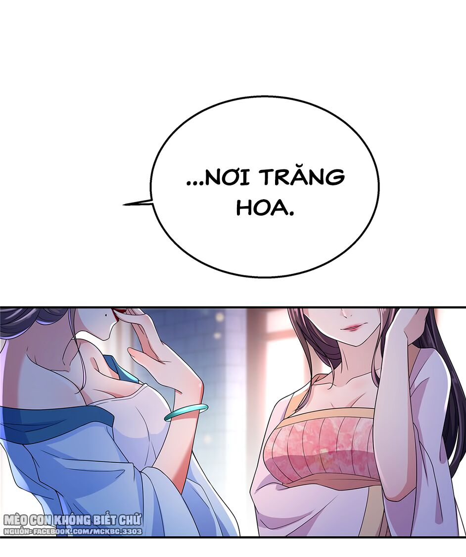 Báo Cáo! Đế Quân Ngài Có Độc! Chapter 19 - Trang 2