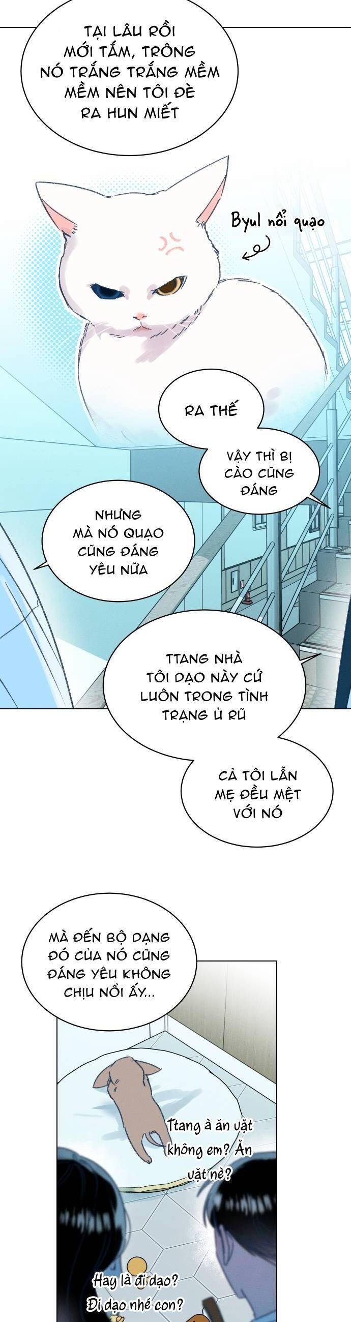 Bầu Trời Mùa Hạ Dấu Yêu Chapter 16 - Trang 2