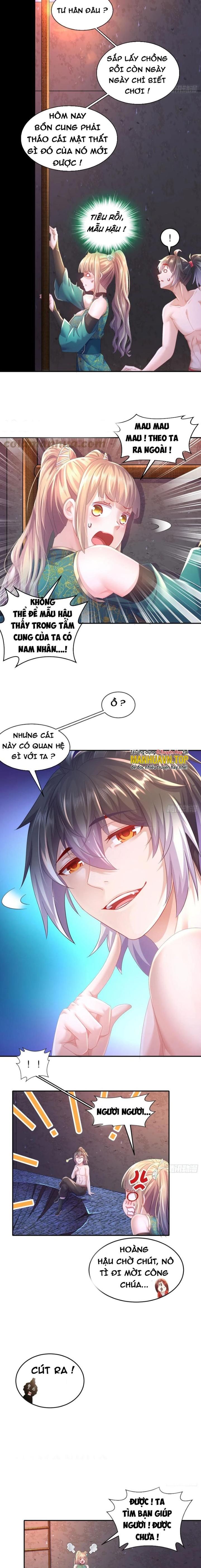 Tuyệt Sắc Đạo Lữ Đều Nói Ngô Hoàng Có Thể Chất Vô Địch Chapter 49 - Trang 2