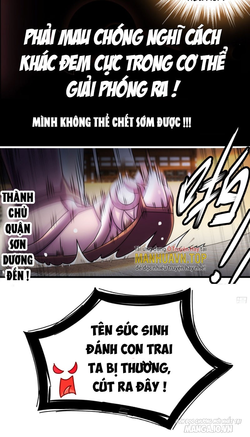 Tuyệt Sắc Đạo Lữ Đều Nói Ngô Hoàng Có Thể Chất Vô Địch Chapter 3 - Trang 2