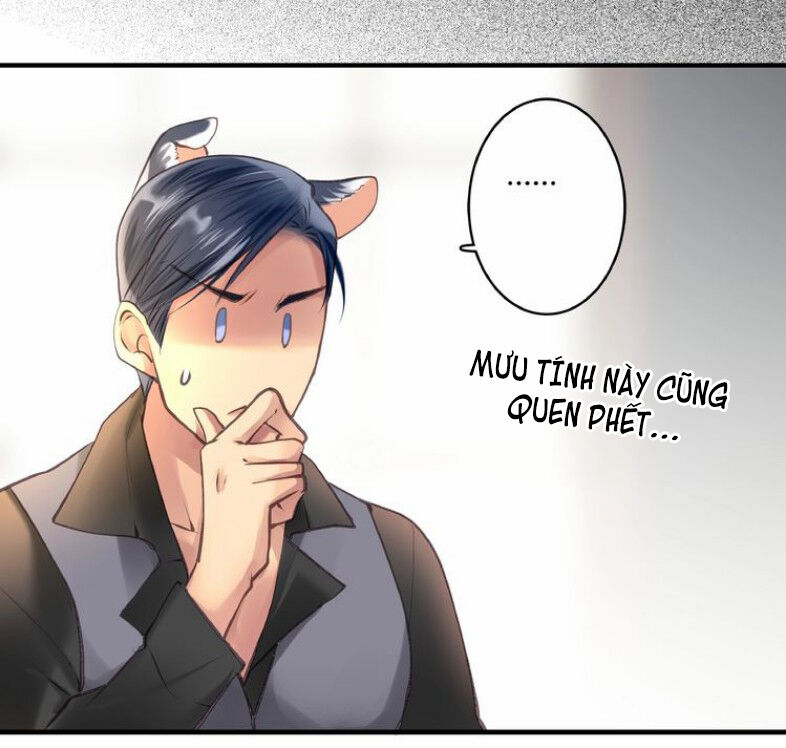 Khanh Như Tơ Chapter 61 - Trang 2