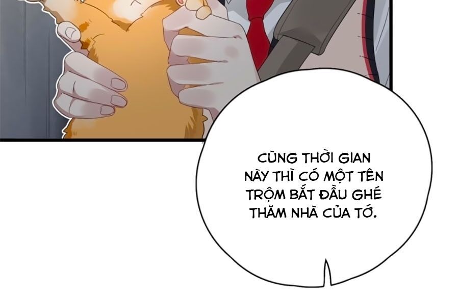 Xông Vào Tim Anh Chapter 12 - Trang 2