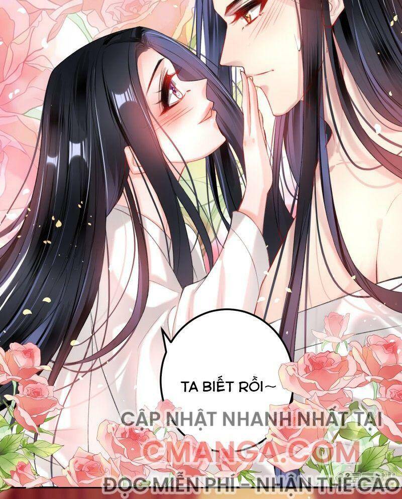 Vương Gia, Áo Lót Của Ngươi Rơi Mất Rồi Chapter 83 - Trang 2