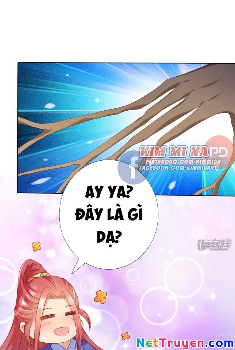 Sư Phụ, Cái Kia Ăn Ngon! Chapter 77 - Trang 2