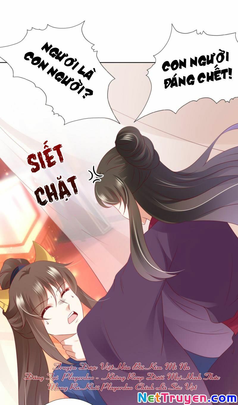 Sư Phụ, Cái Kia Ăn Ngon! Chapter 77 - Trang 2