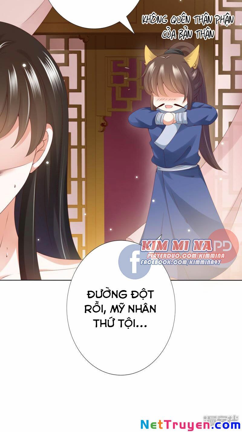 Sư Phụ, Cái Kia Ăn Ngon! Chapter 75 - Trang 2