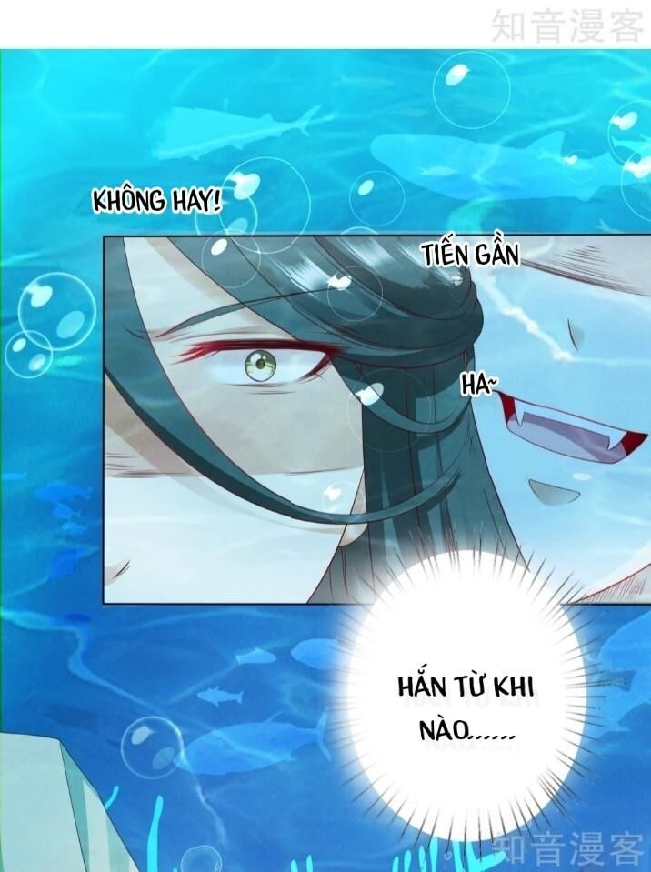 Sư Phụ, Cái Kia Ăn Ngon! Chapter 28 - Trang 2