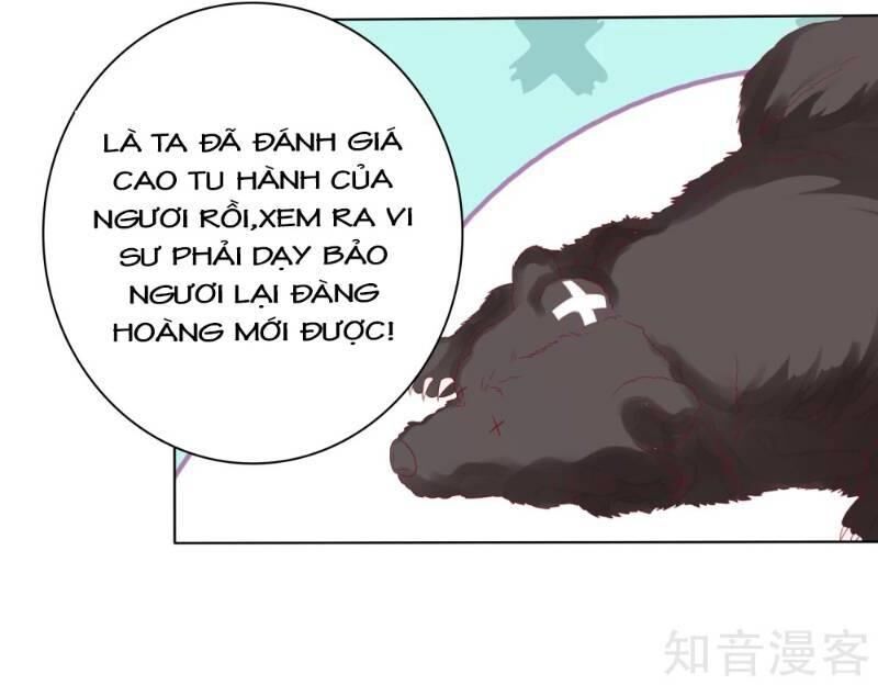 Sư Phụ, Cái Kia Ăn Ngon! Chapter 14 - Trang 2